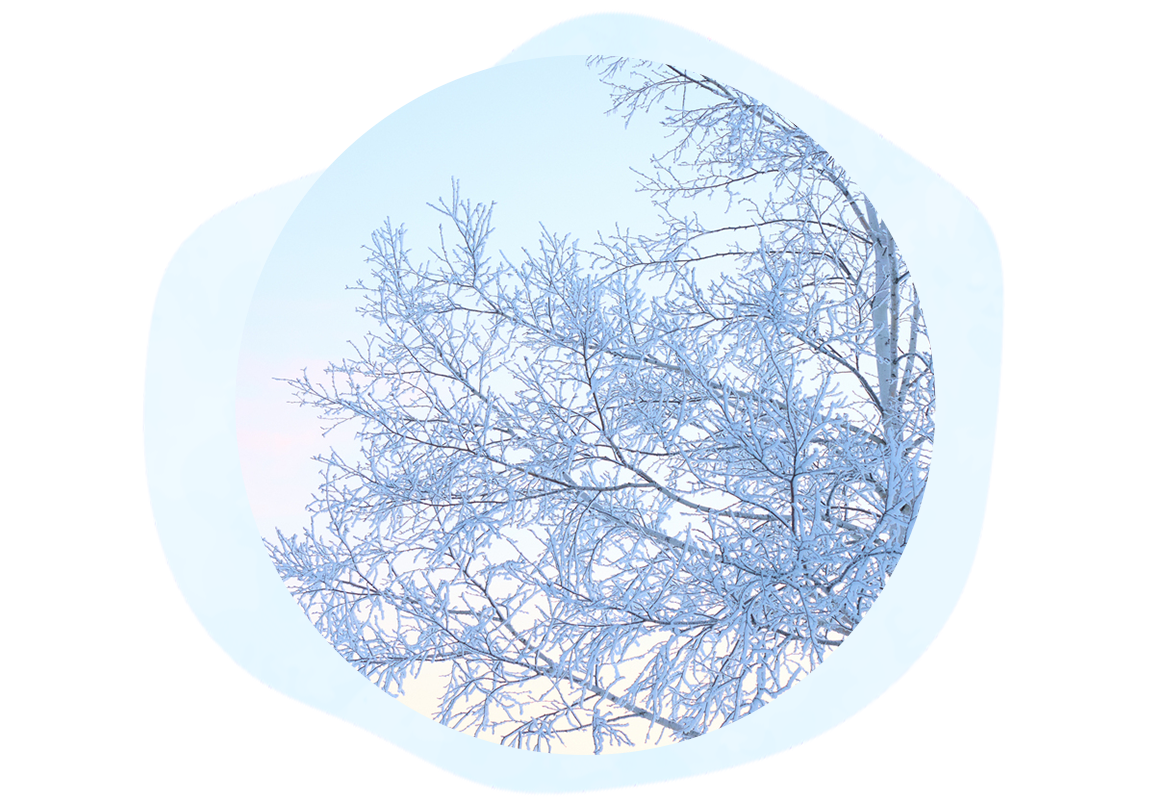 智光のパワーリハビリ