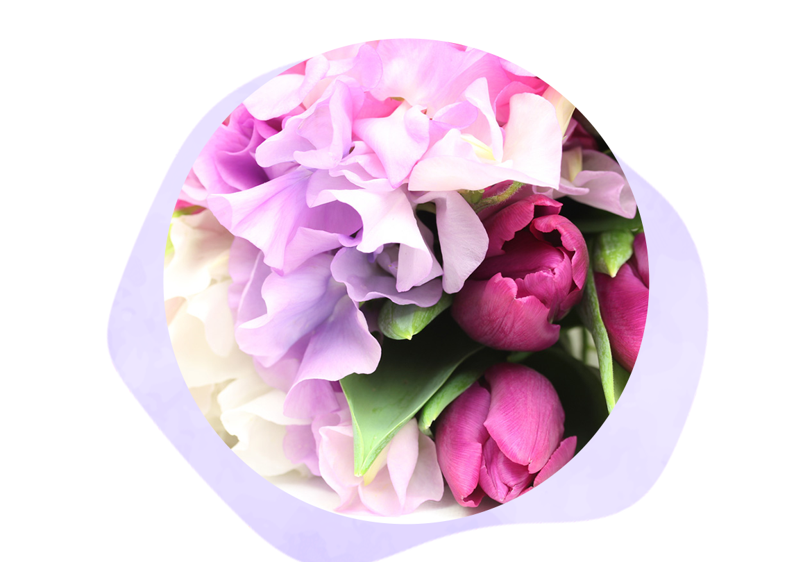 ケアプラン 智光薬湯